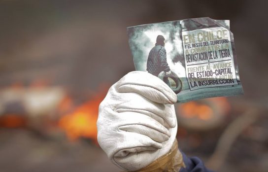 combat-the-destruction